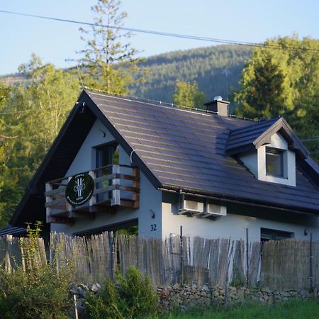 Ski House Szczyrk - Czyrna Zewnętrze zdjęcie